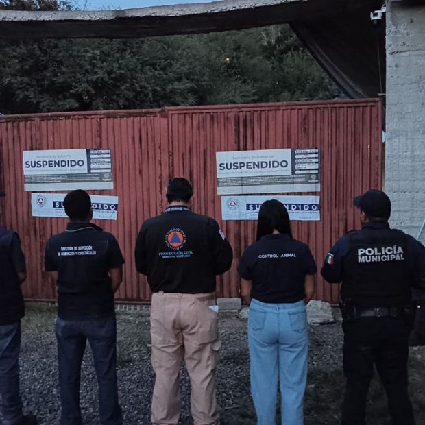 Aseguran Perros por Presuntas Irregularidades en Pensión de El Nabo